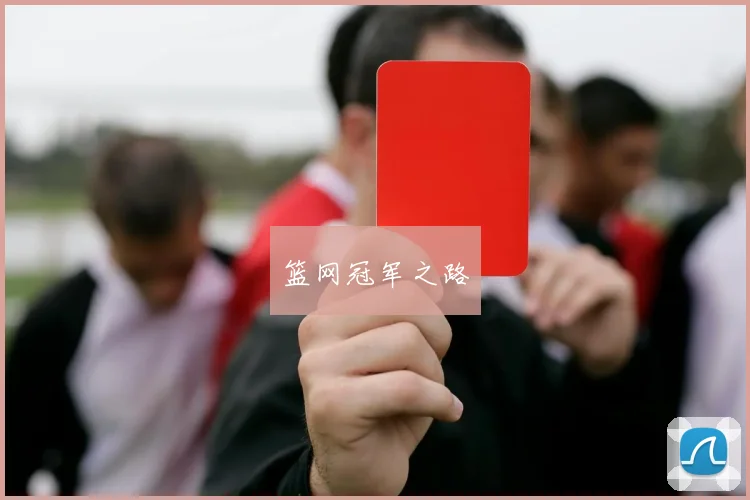 篮网冠军之路