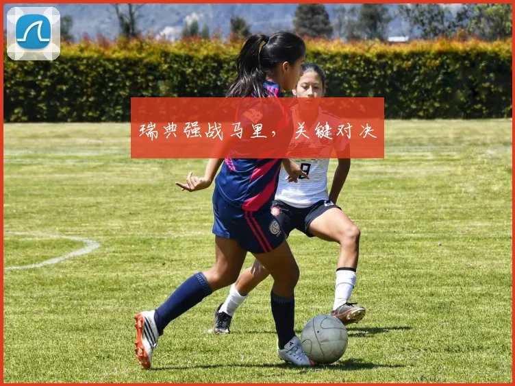 瑞典强战马里，关键对决