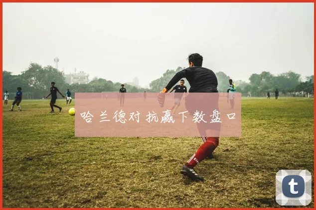 哈兰德对抗赢下数盘口