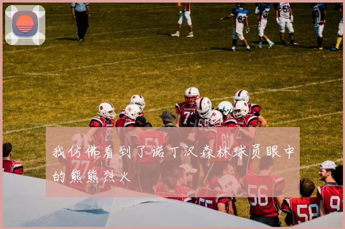 我仿佛看到了诺丁汉森林球员眼中的熊熊烈火