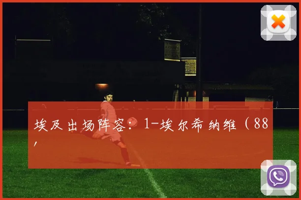 埃及出场阵容：1-埃尔希纳维（88'