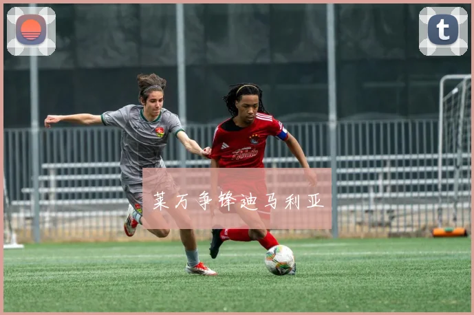 莱万争锋迪马利亚