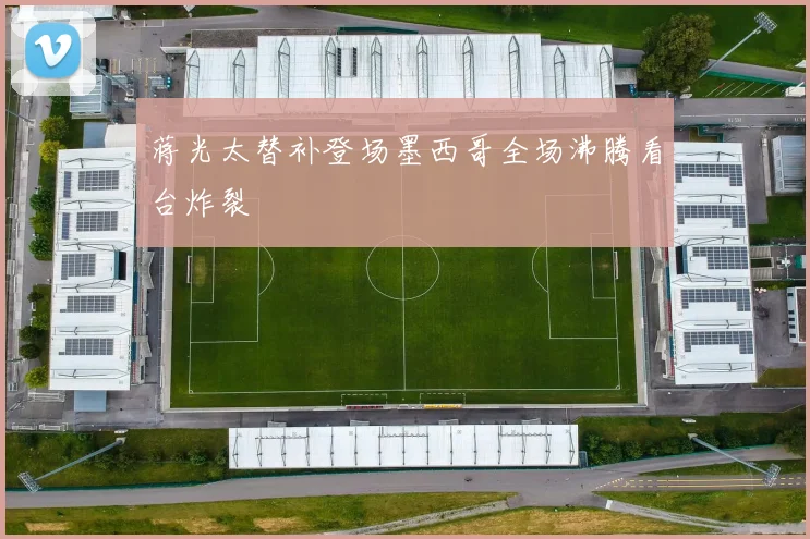 蒋光太替补登场墨西哥全场沸腾看台炸裂