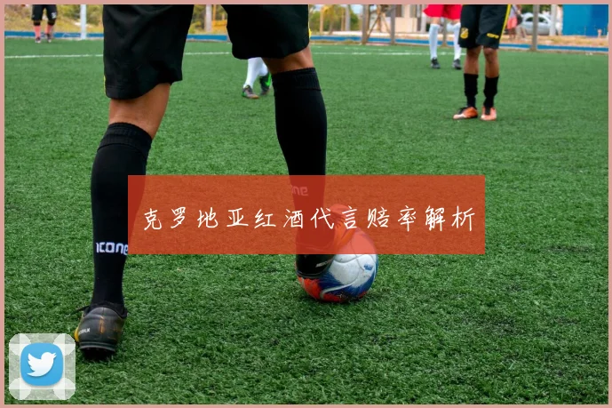 克罗地亚红酒代言赔率解析