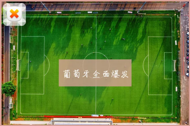 葡萄牙全面爆发