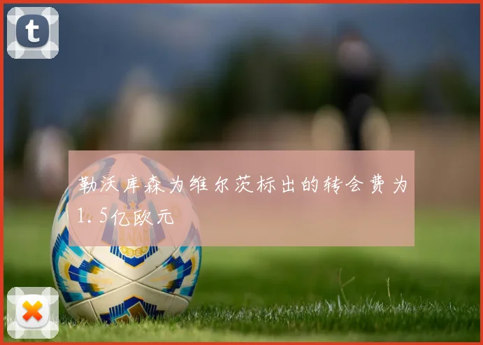 勒沃库森为维尔茨标出的转会费为1.5亿欧元