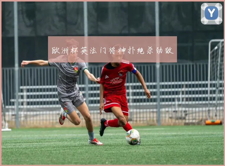 欧洲杯英法门将神扑绝杀劲敌