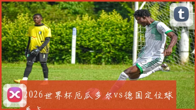 2026世界杯厄瓜多尔vs德国定位球看点