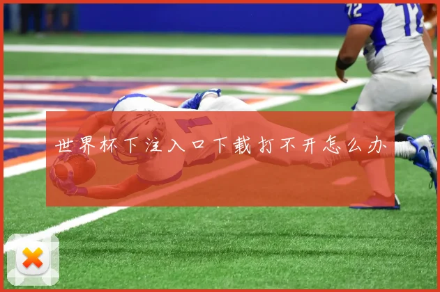 世界杯下注入口下载打不开怎么办